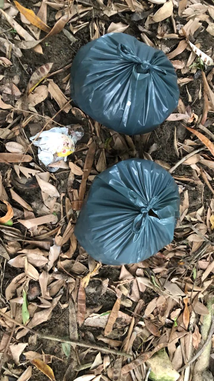 Terra preta  - Foto 2