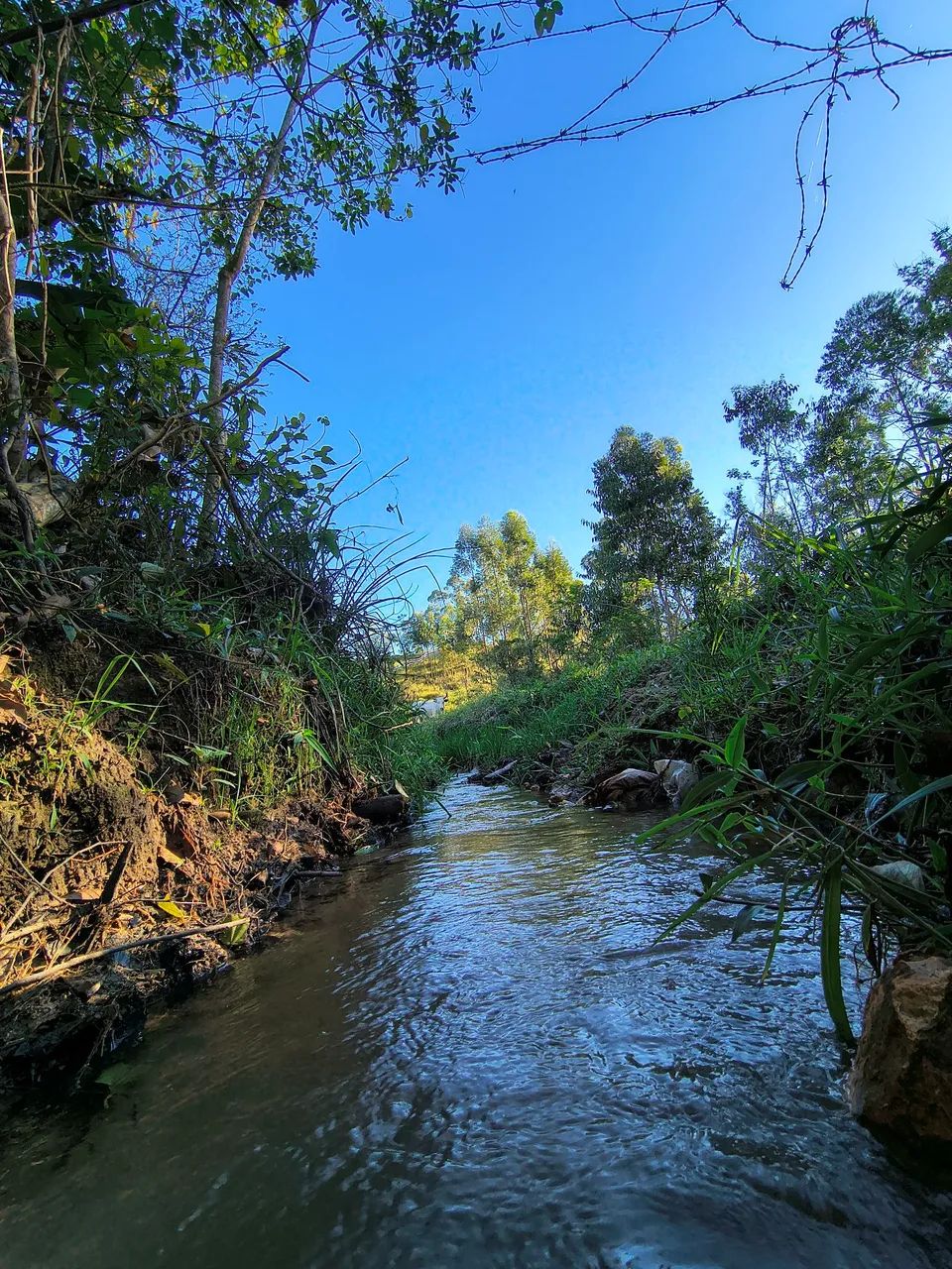 Área rural com lindo por do sol. - Foto 4