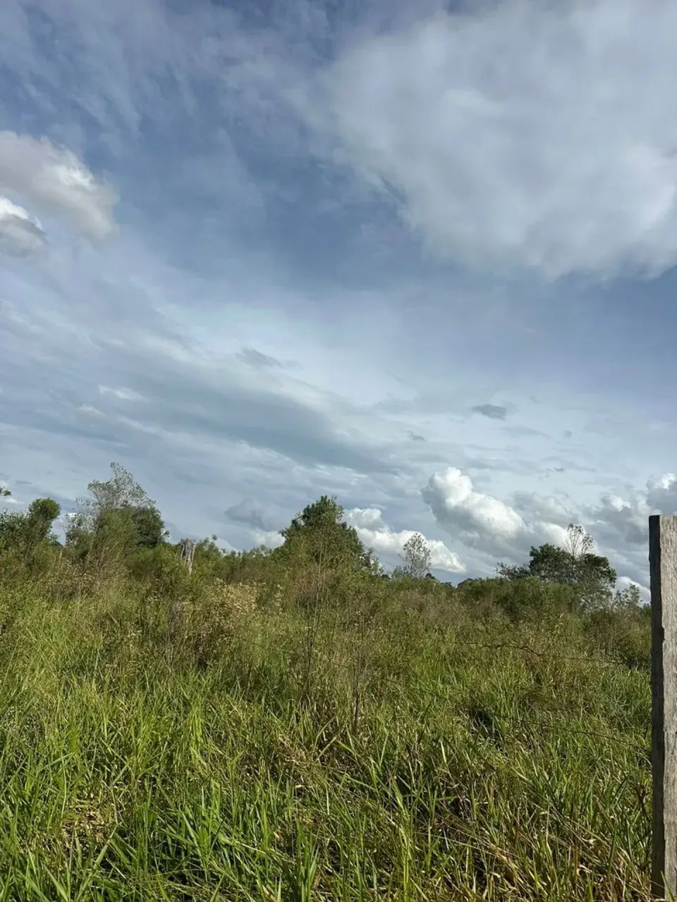 Lotes com Fundo para Mata em Mairinque | Poucas Unidades - Foto 3