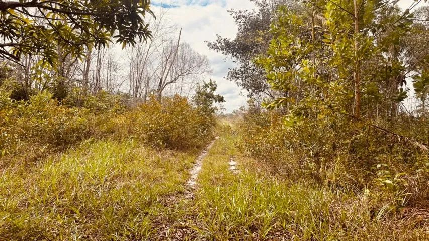 SÍTIO OU FAZENDINHA Vigia de Nazaré (ITAPO Á) VENDE OU TROCA - Foto 4