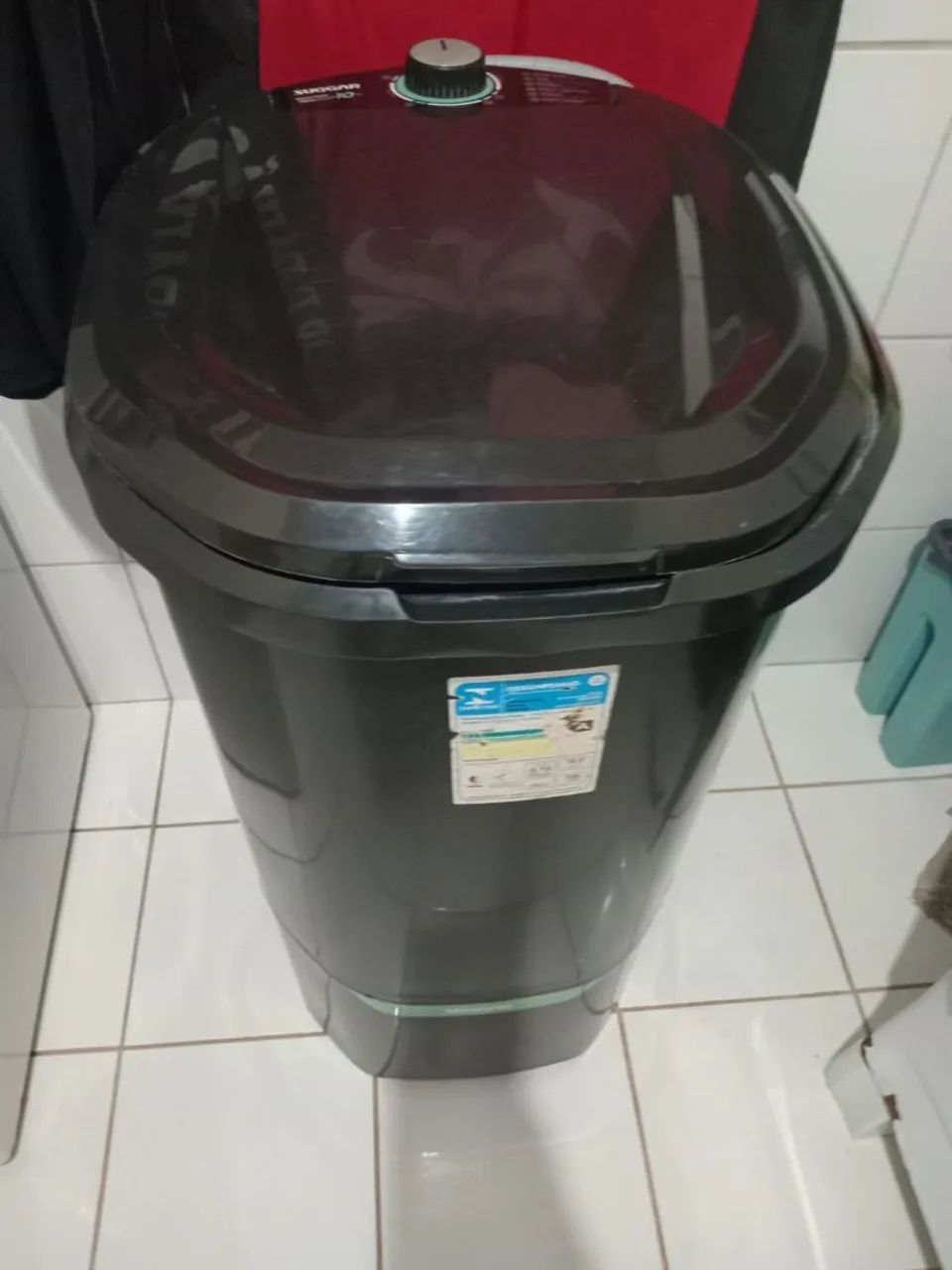 Tanquinho - Foto 2