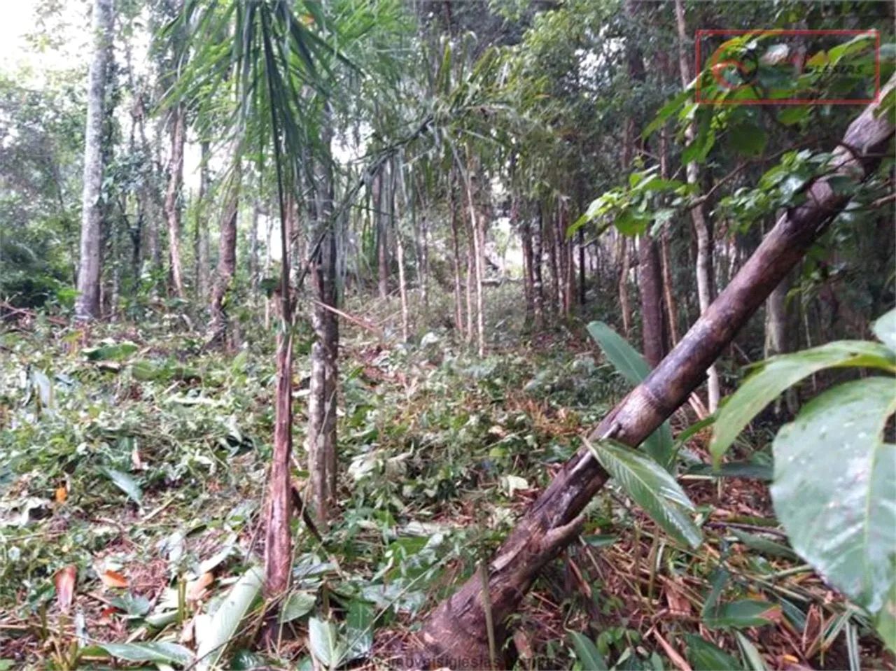 Terreno à venda em Boa vista - SP - Foto 5
