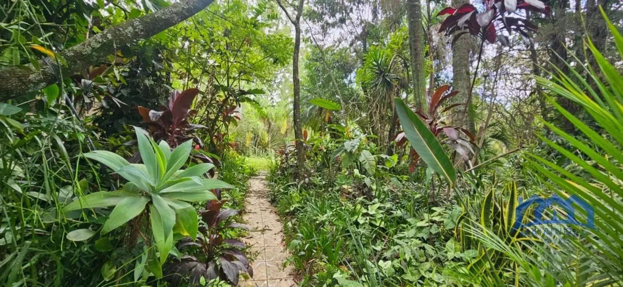 CHACARA RURAL em MAIRINQUE - SP, Dona Catarina - Foto 2