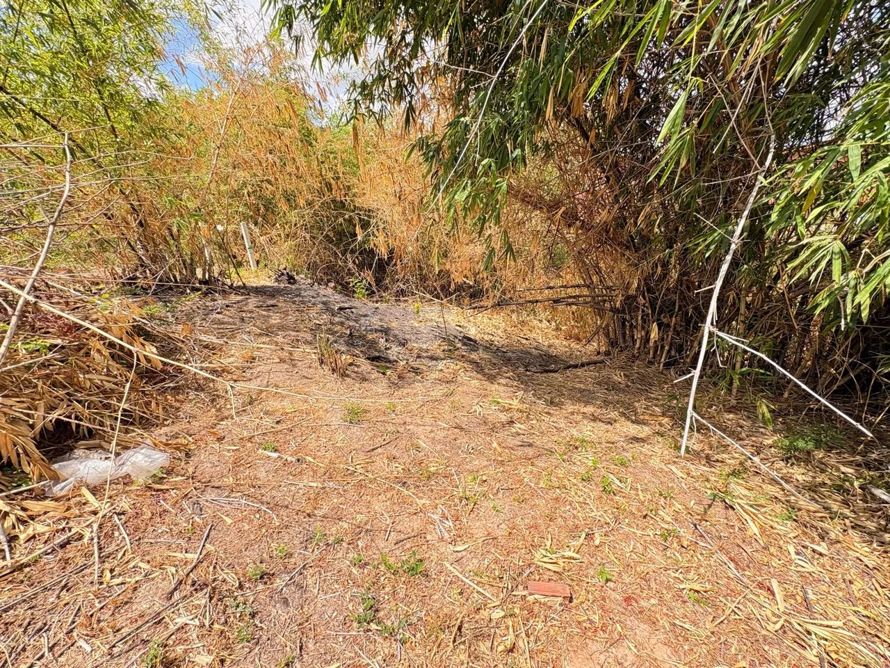 Terreno em Bacabeira  - Foto 3