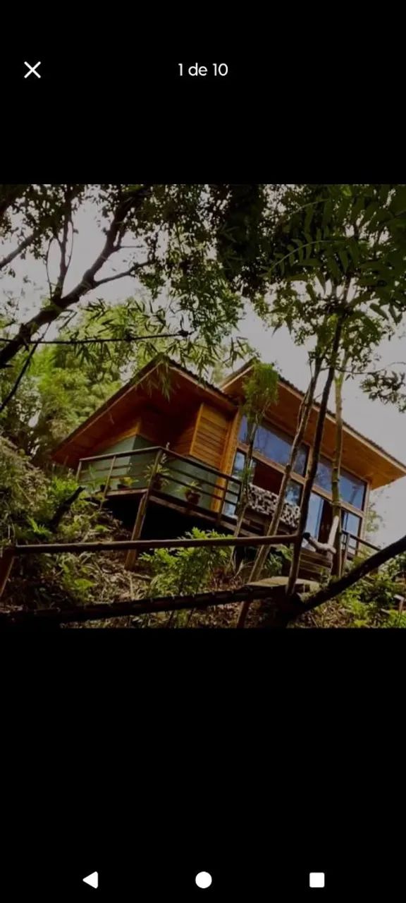 Carpinteiro  - Foto 5