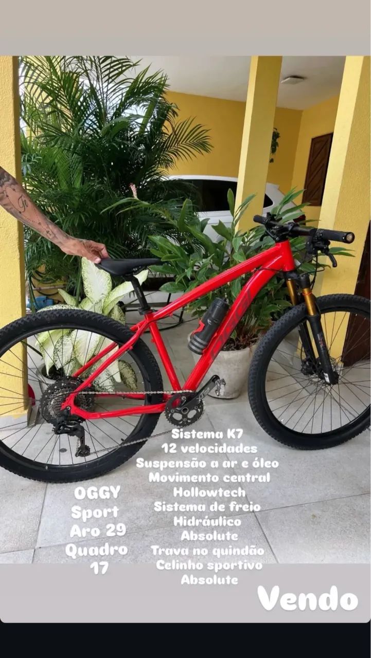 Bicicleta OGGY
