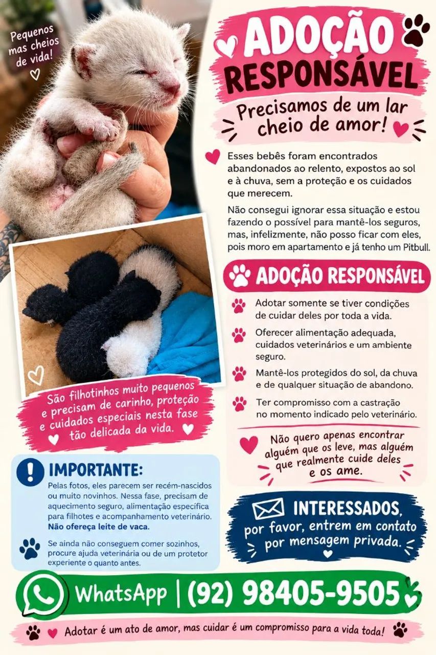 Adoção responsável 