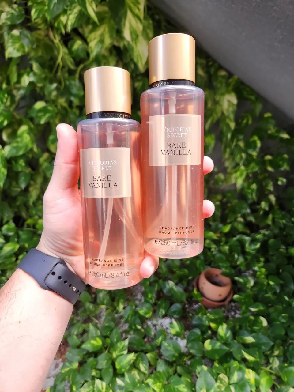 Body splash victoria secrets