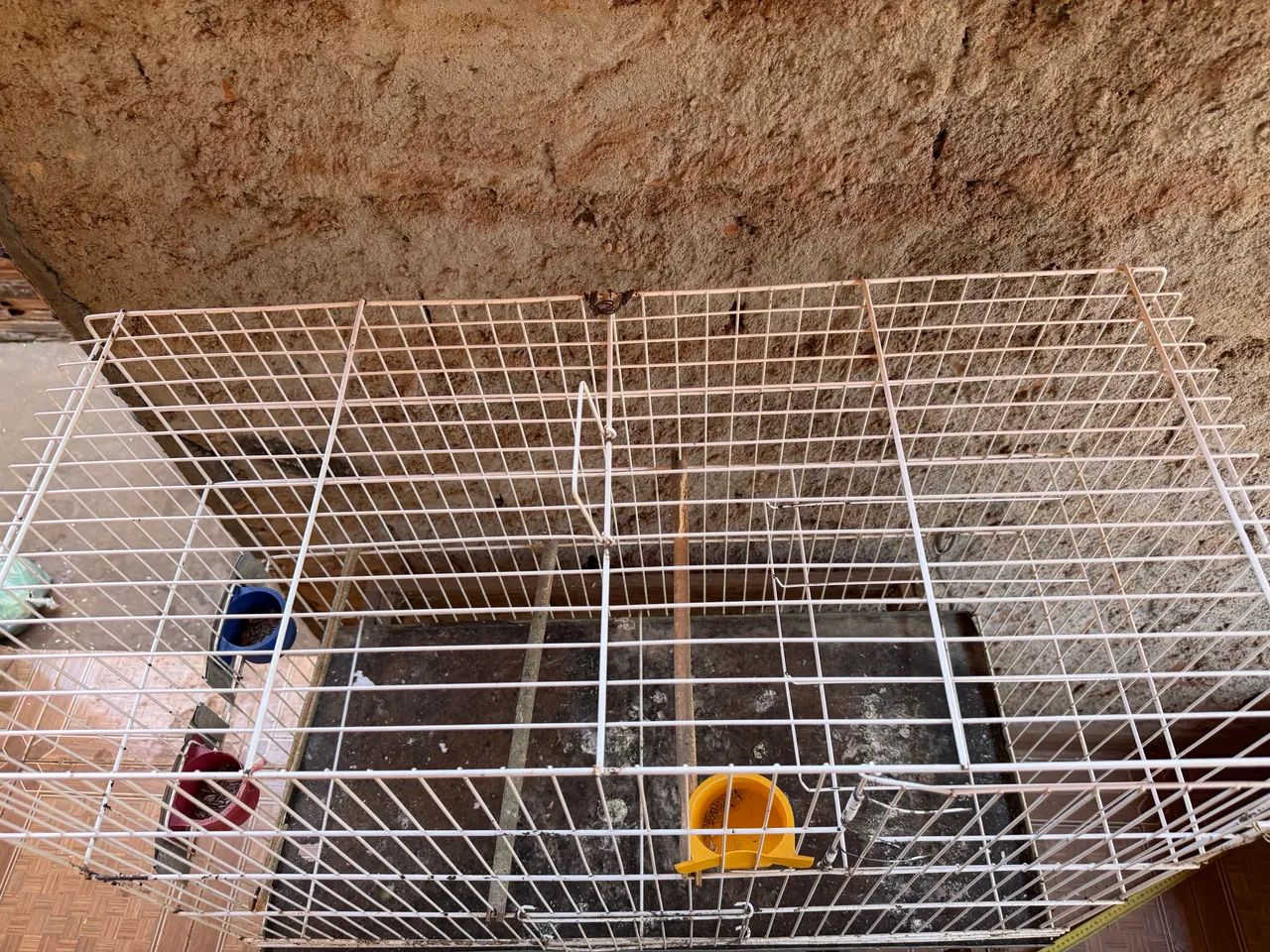 Gaiola grande  - Foto 3