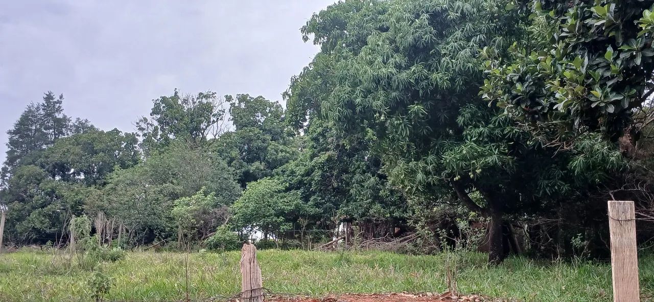 Foto - São Bernardo do Campo - Paulicéia