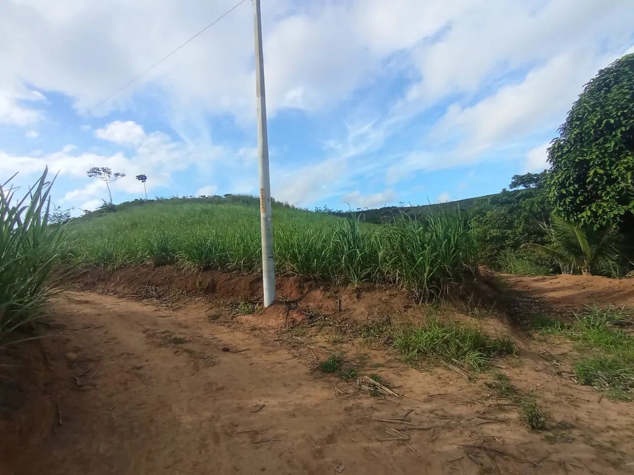Sítio com 7 hectare  - Foto 5