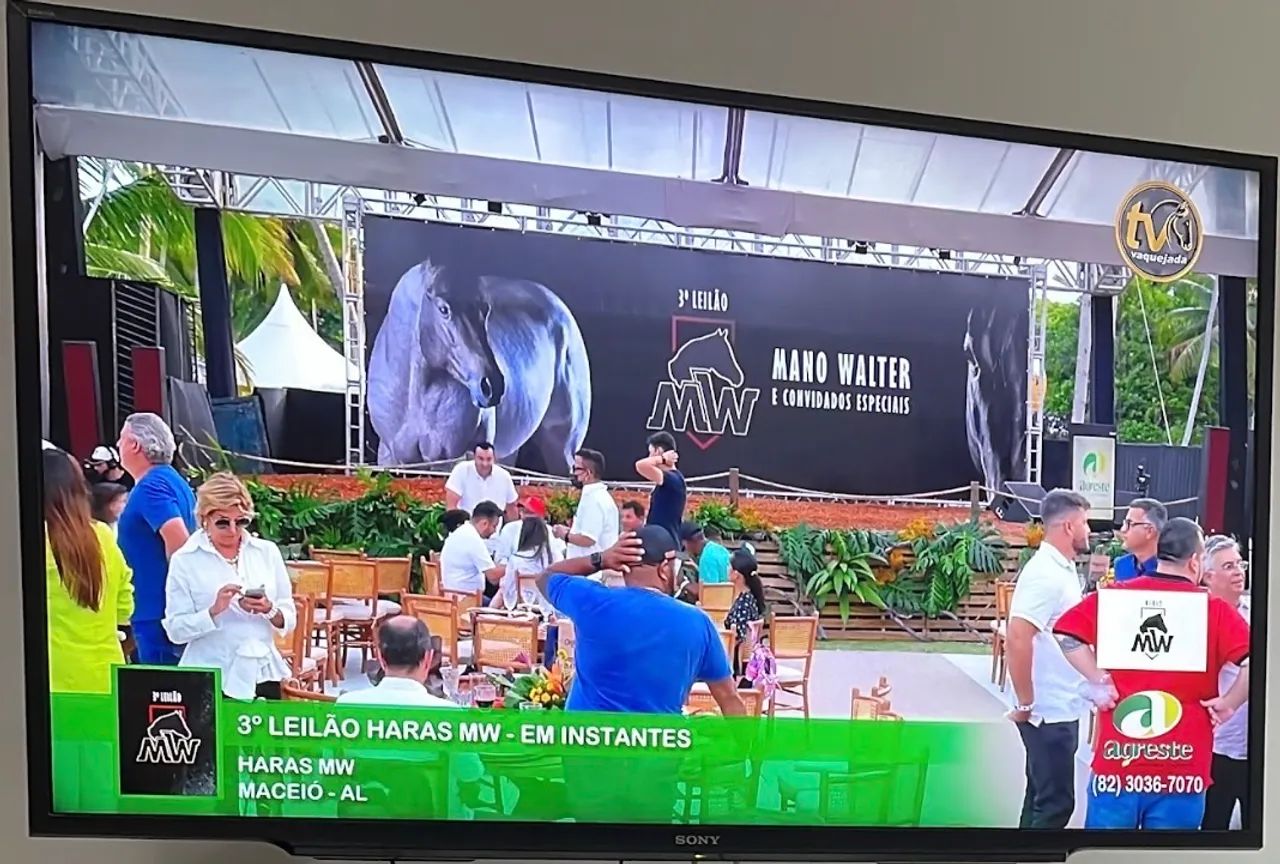 Tc Sony Bravia 48 pol