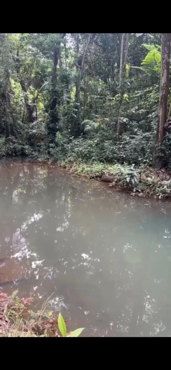 TERRENO COM IGARAPÉ PRIVATIDO DOCUMENTADO