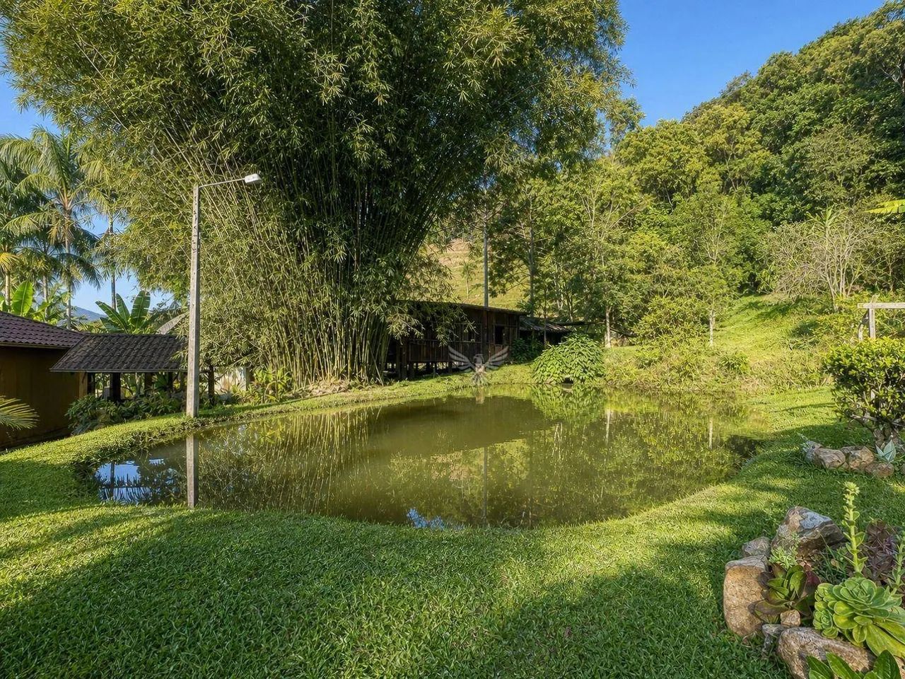 Sitio com casa boa, lagoa em muita natureza - Foto 3