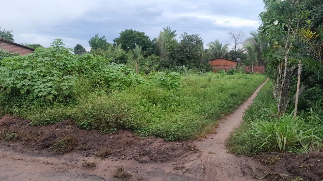 Vendo terreno 