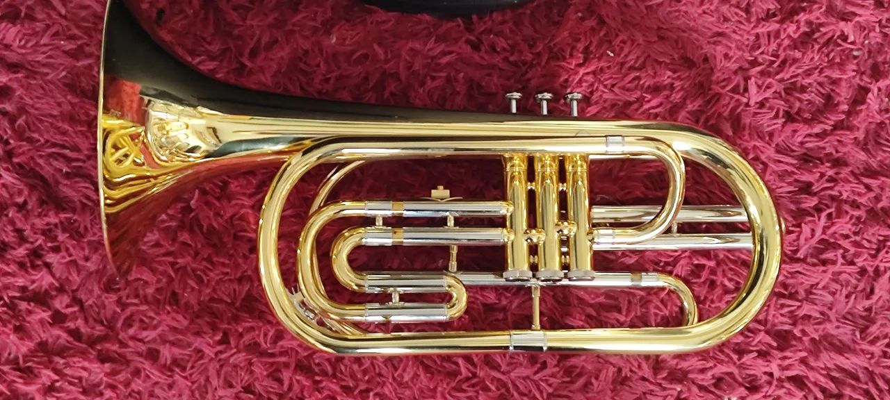 Trombonito Michael W35 Sib - Foto 3