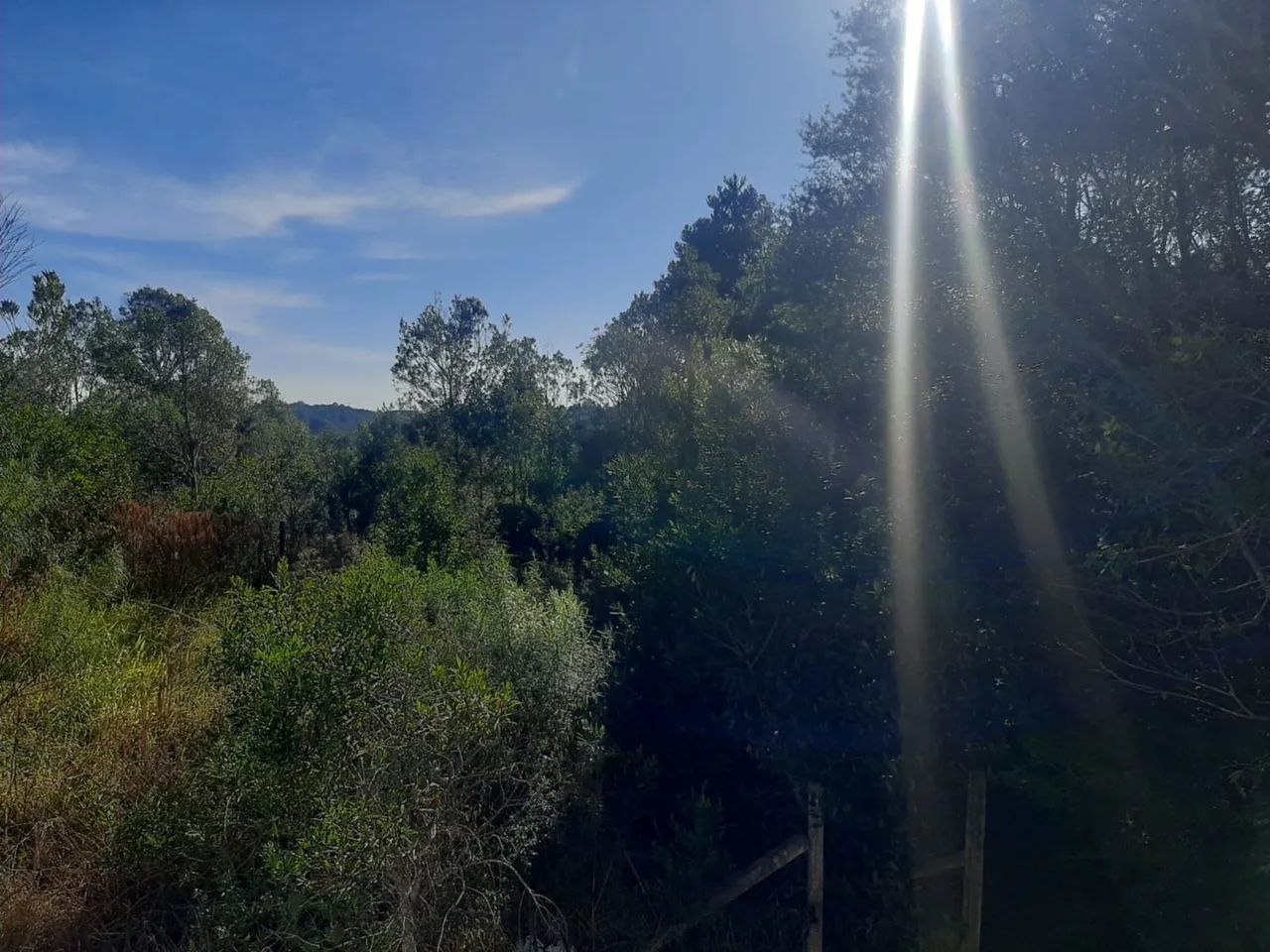 CHÁCARA CÓRREGO FUNDO - Foto 4
