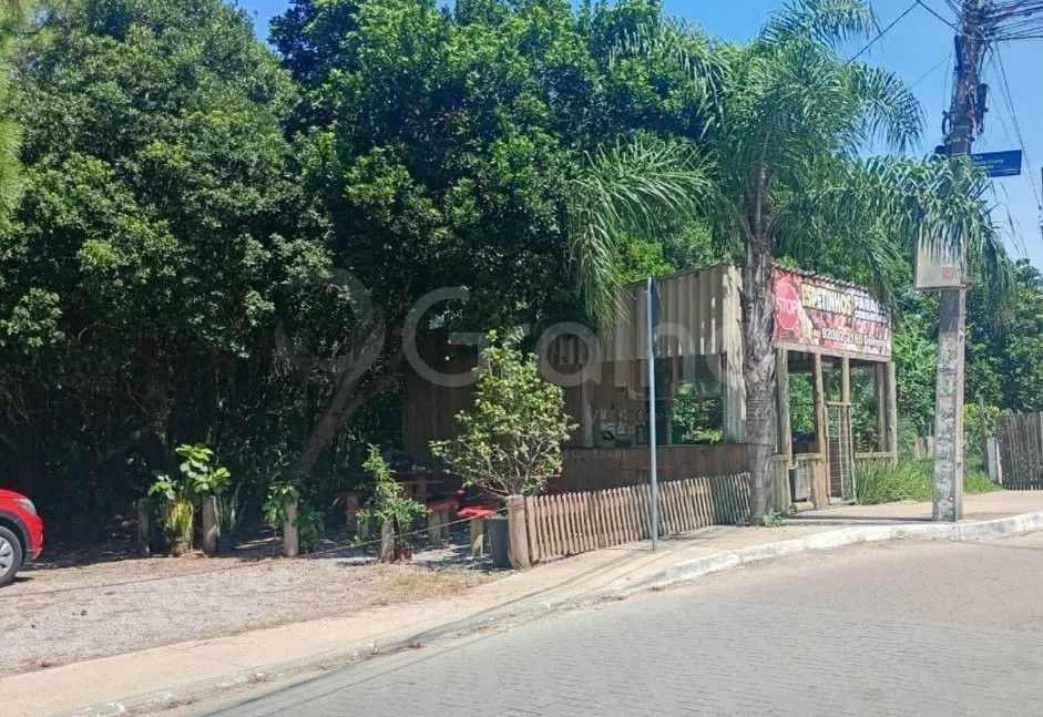 Terreno para Venda em Florianópolis, Campeche - Foto 2