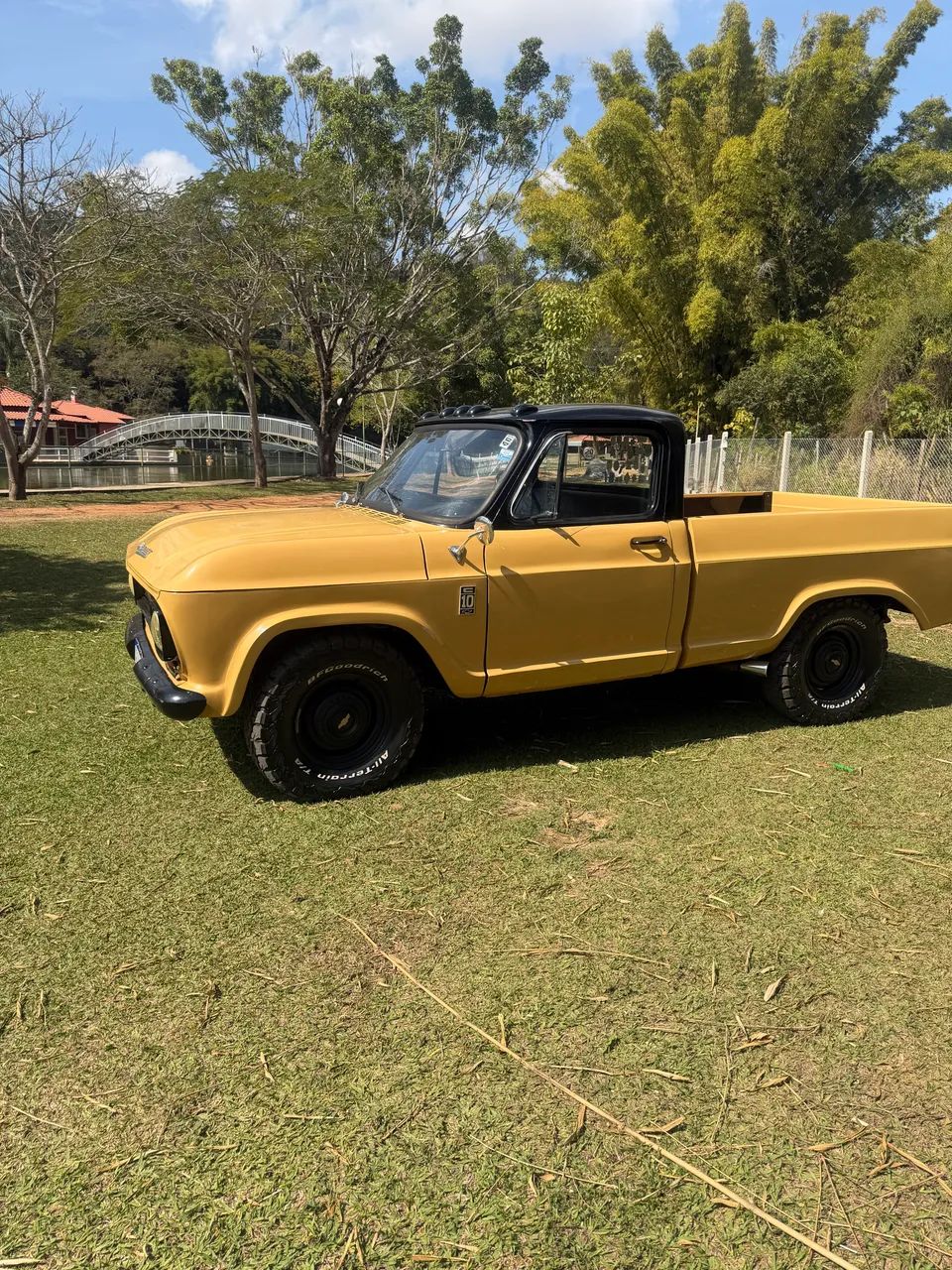 Chevrolet C-10 2.5/4.1 1976