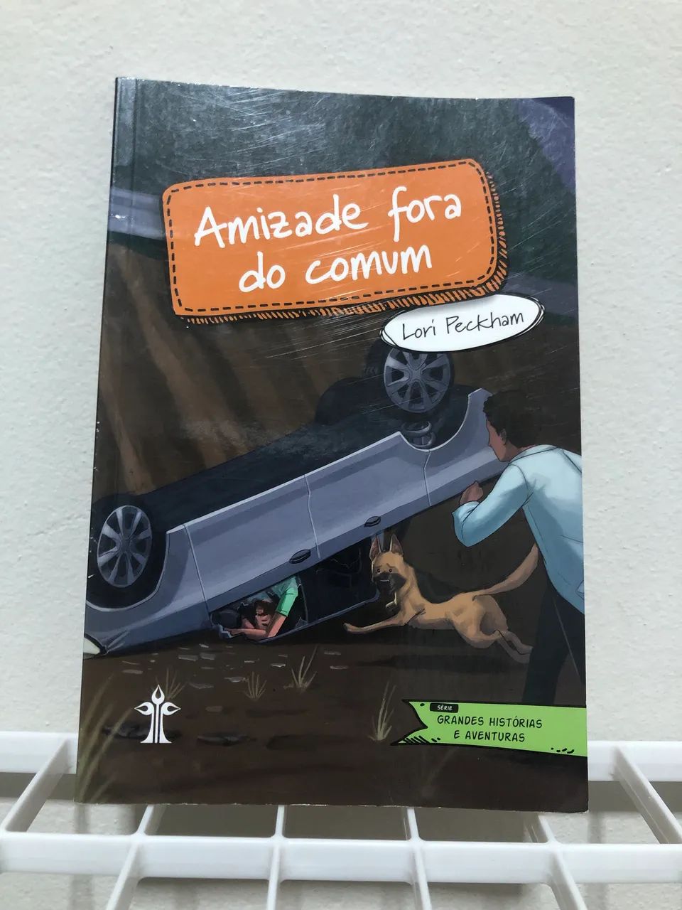 Livro: Amizade fora do comum