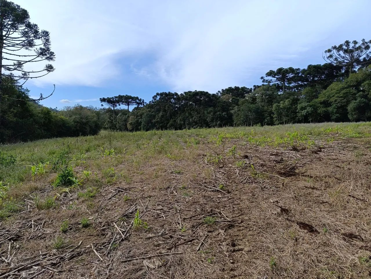 Chácara de 104.000m² divisa com Rio Negro - Foto 5