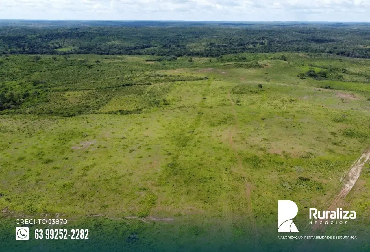 900 RESES/ANO | 320 ALQUEIRES | 850 HA FORMADOS - Foto 3