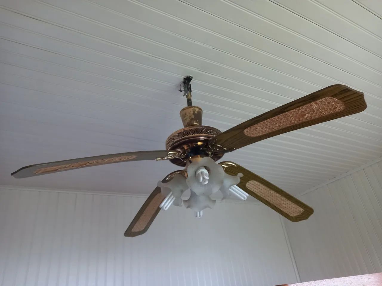 Ventilador 
