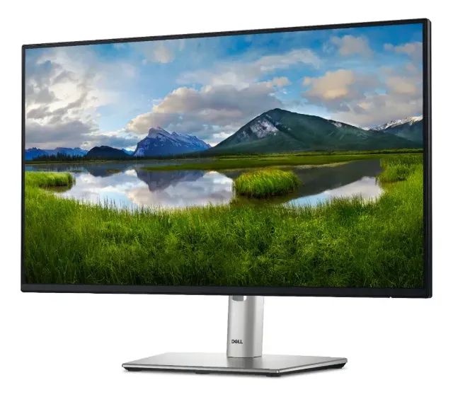 Monitor Dell 24 Polegadas P2425h (linha Profissional)