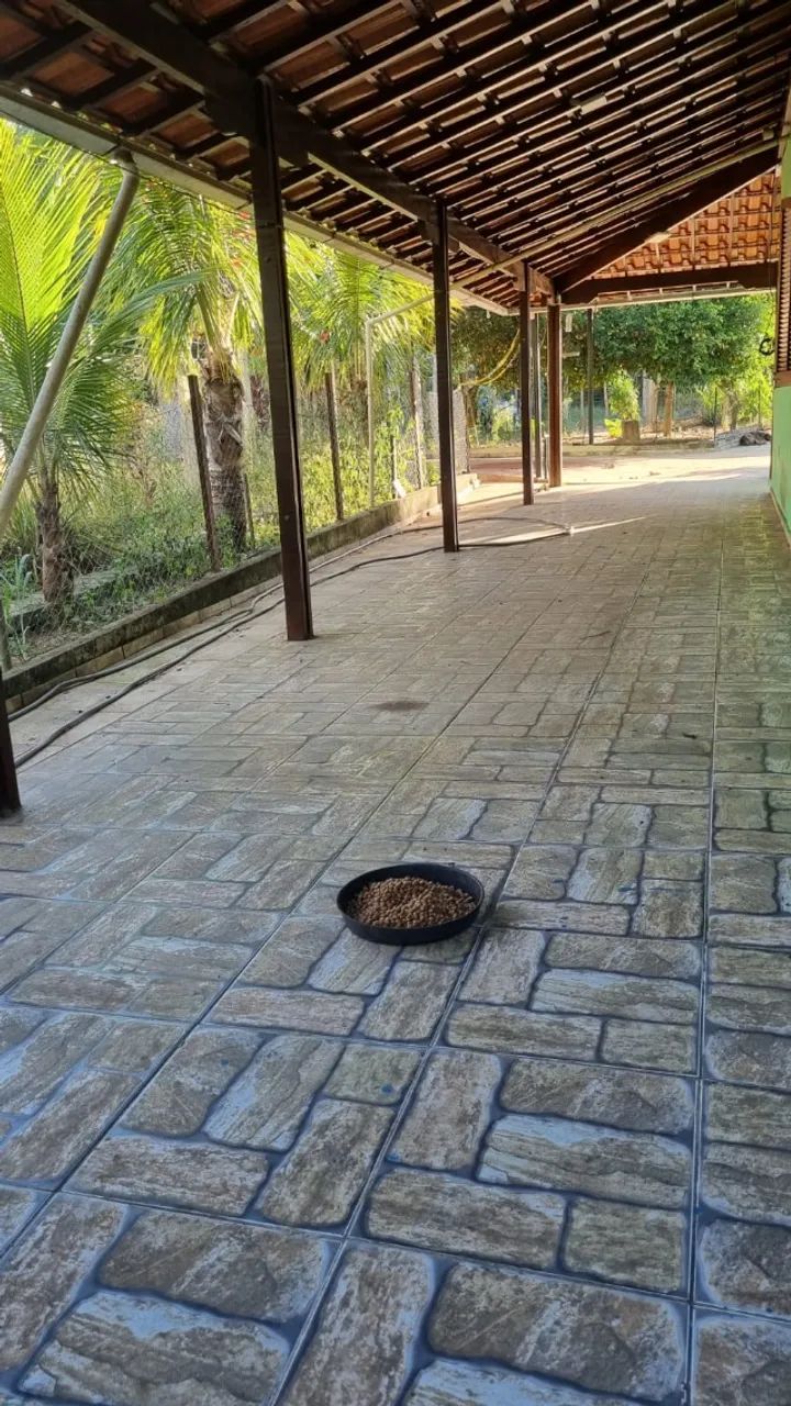 Chacara com varanda e pomar e muita paz - Foto 4