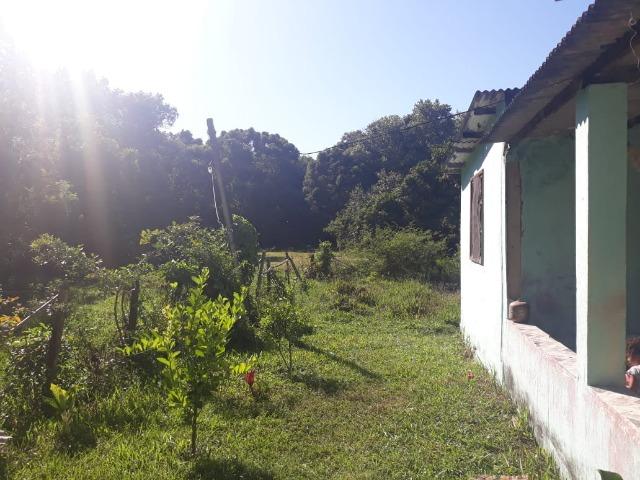 Luu-Mini Sítio (Área Rural) - em Tamoios - Cabo Frio/RJ - Centro Hípico - Foto 5