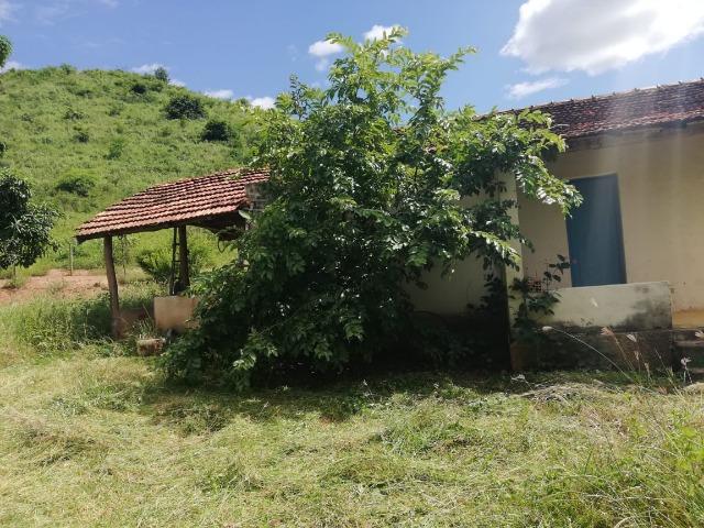 Fazenda com 127 hectares em Baixo Guandu - Foto 4