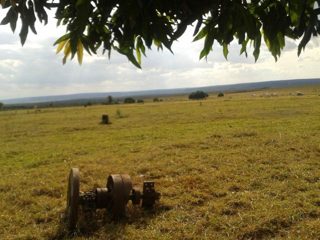 11.500 Hectares, Pecuária, 4800 há pastagens, estruturada, Mato Grosso. - Foto 4