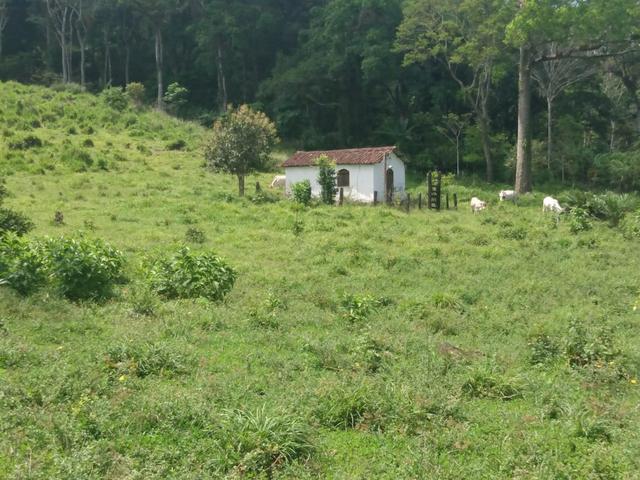 Fazenda Ibicaraí - Foto 14