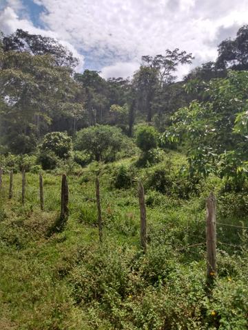 Fazenda Ibicaraí - Foto 6