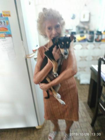 Doação - está com uma pessoa idosa que não tem mais saúde pra cuidar - Foto 3