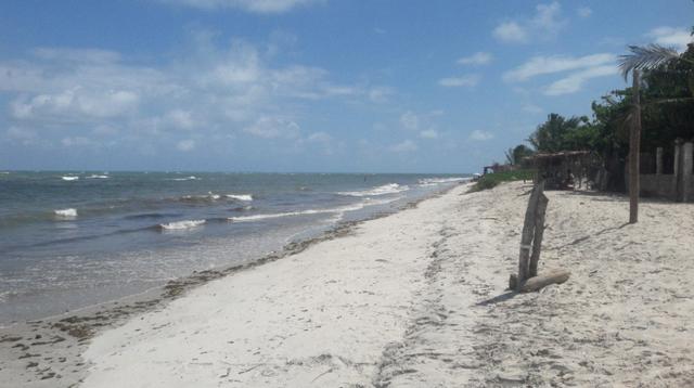 Litoral Norte - Barra de Santo Antônio - Ilha da Croa - Em Rua Pavimentada - Foto 18