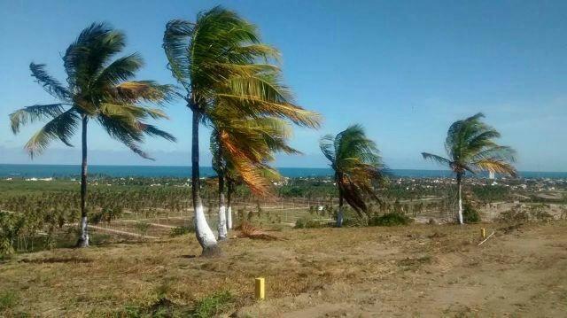 Lotes são jose - Foto 2