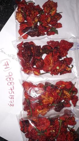 Carolina reaper vermelha sementes - Foto 4