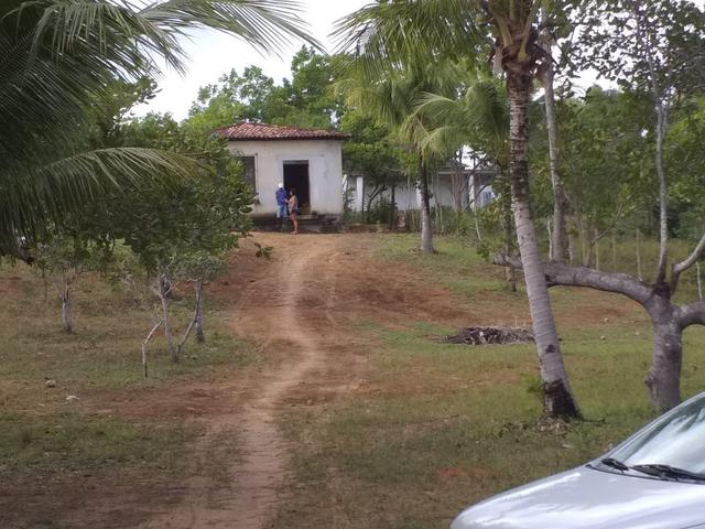 Lindo sítio