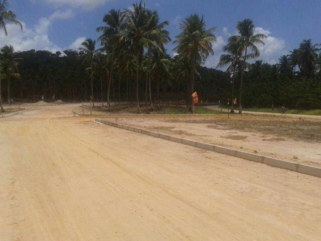 Lotes são jose - Foto 3
