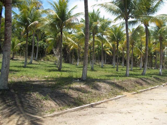 Vendo ou troco terreno em condomínio fechado, na praia de lençóis. - Foto 2