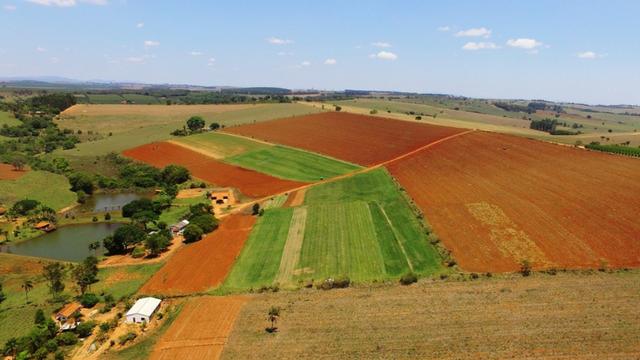 Vendo fazenda em alfenas - Foto 10
