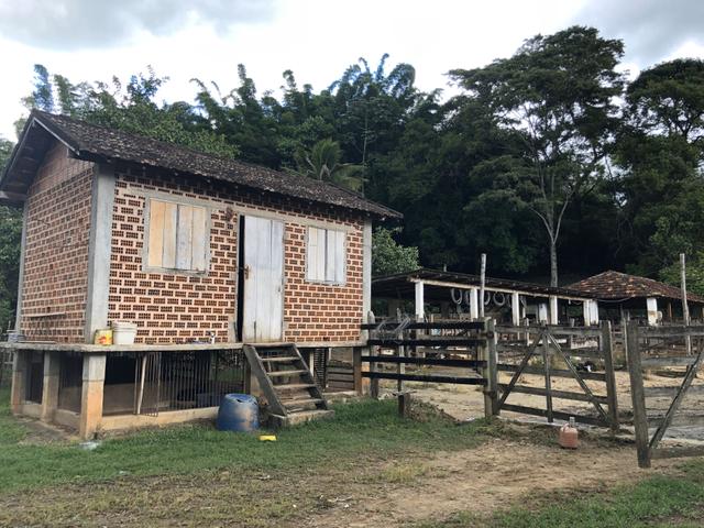 Lindo sítio 31 ha próximo a Juiz de Fora - Foto 12