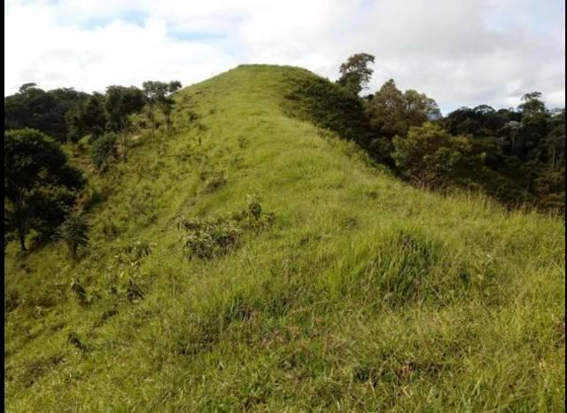 Vendo terreno de 4 alqueires em Ribeirão, Vargem Alta - Foto 4
