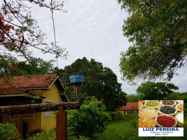 FAZENDA A VENDA DE 5.159 hECTARES EM BONITO - MS (Dupla aptidão) - Foto 3