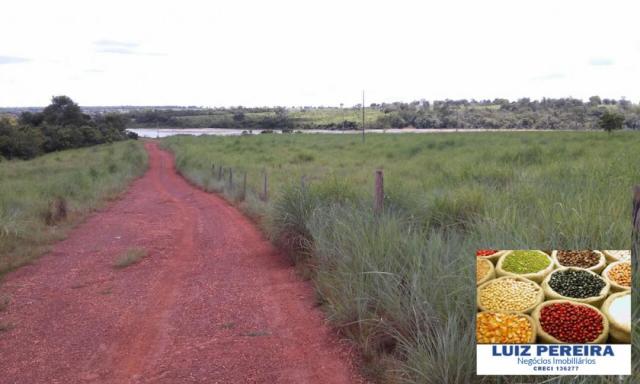 FAZENDA A VENDA DE 906 ALQUEIRÕES EM ARAGUAÇU - TO (Dupla Aptidão) - Foto 20
