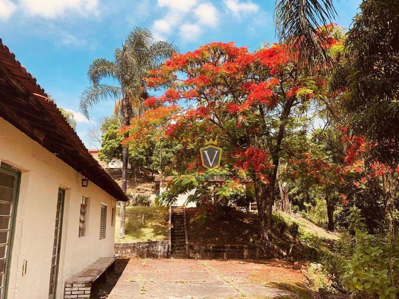 Sítio à venda, 224000 m² por R$ 3.500.000,00 - Jardim Seabra - Amparo/SP - Foto 4