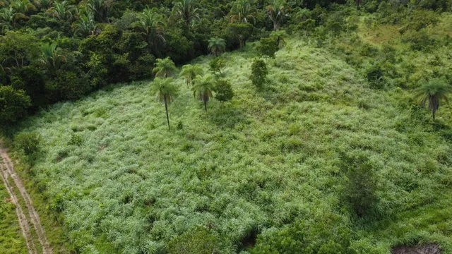 Fazenda em Dois Irmãos. 58 mil por alqueire.
