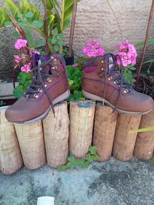 Bota Bull Terrier  - Foto 3