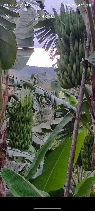 foto - Salvador - Alto da Terezinha